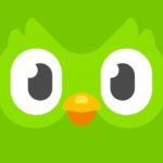 Duolingo Language Lessons